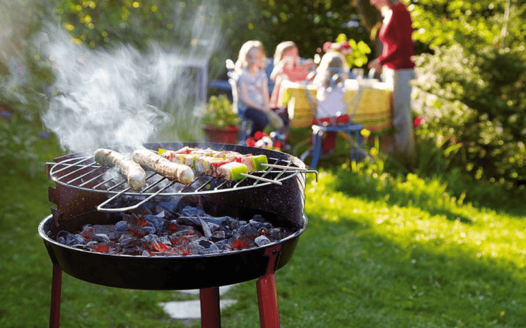 Ultimate Guide to Choosing the Best Barbecue Article