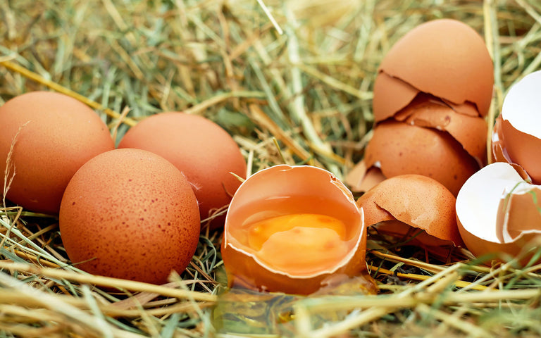 egg yolk nutrition: Cracked eggs on straw