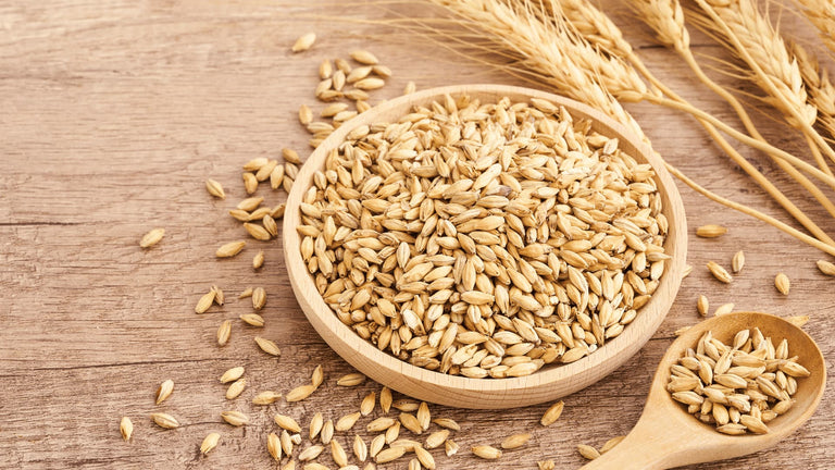 ‘Healthy’ Whole Grains Are a Lie