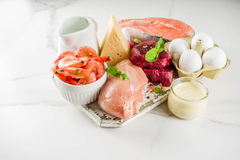 Carnivore diet recipes: Variety of raw meat and dairy products