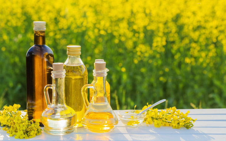 canola oil substitute: different kinds of oil