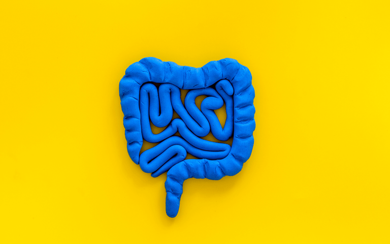 intestines on a yellow background 