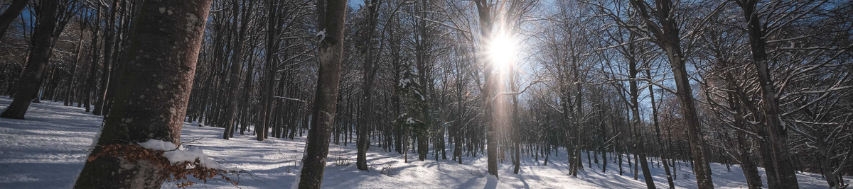 winter weather