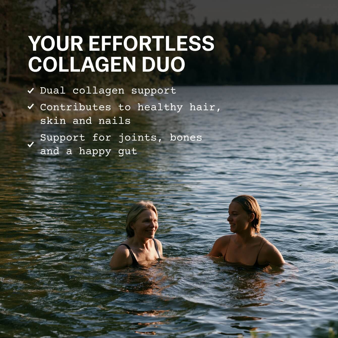 Collagen Bundle
