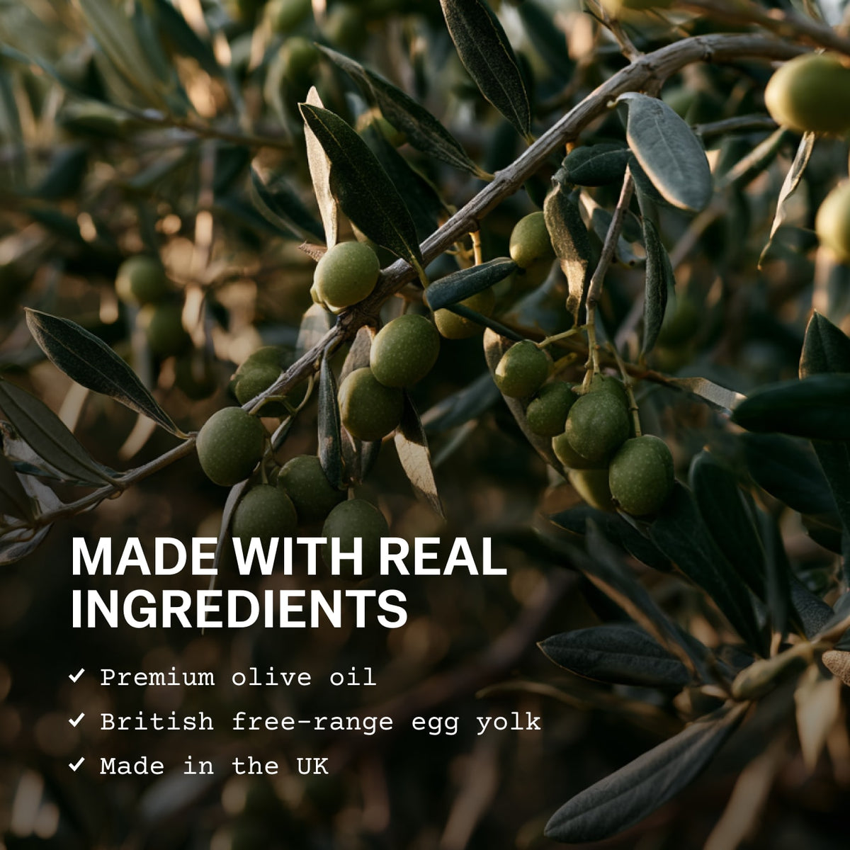 Olive Oil Mayonnaise