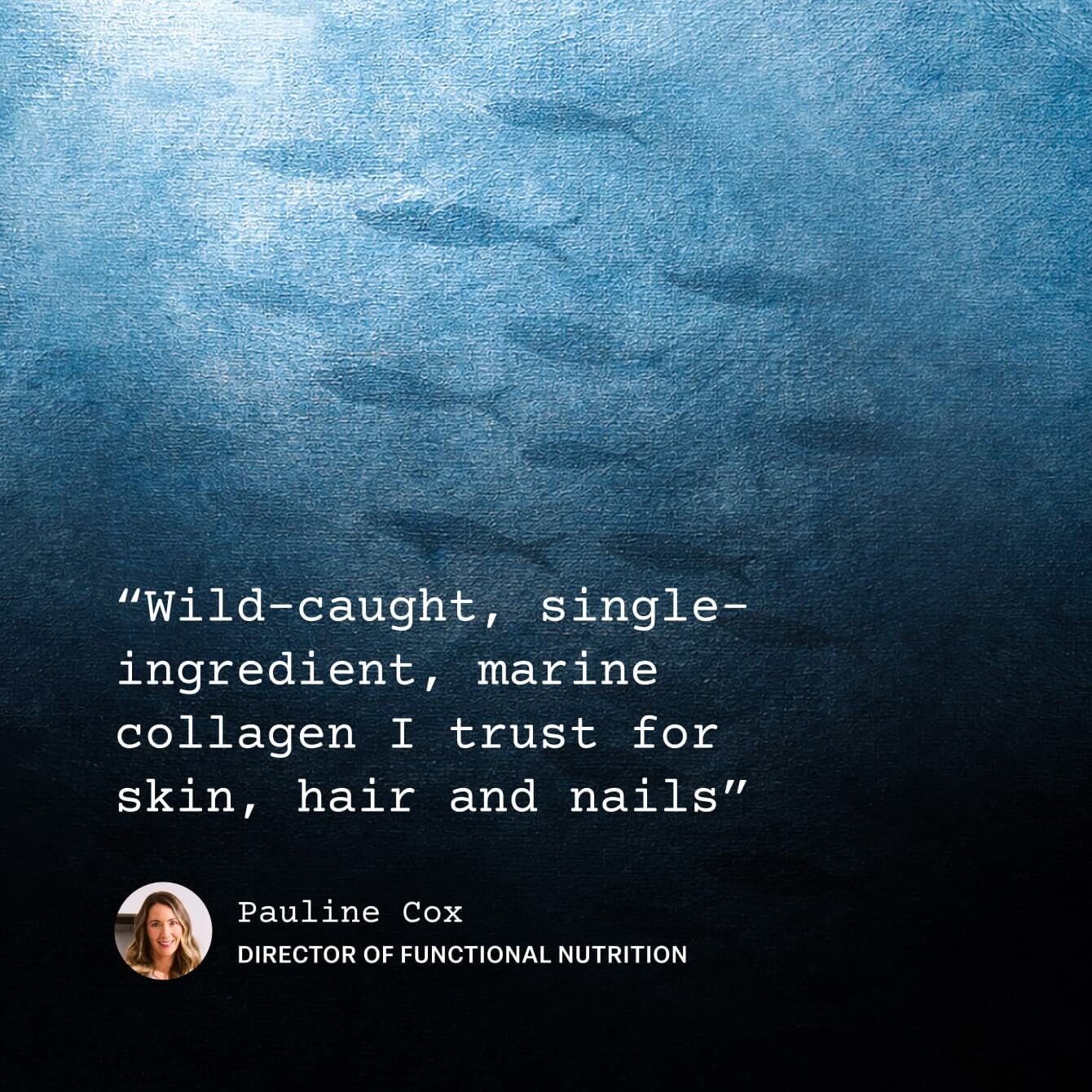 Wild-Caught Marine Collagen Sachets