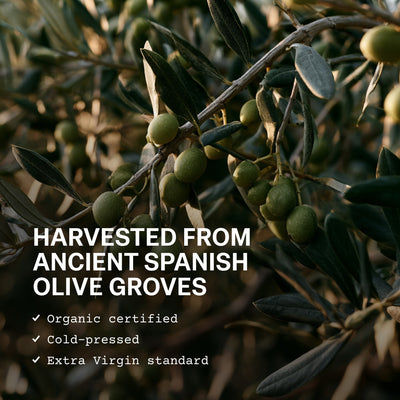 Extra Virgin Organic Olive Oil