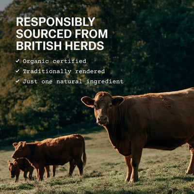 Grass Fed Organic Beef Tallow